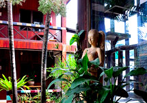 Alina Resort