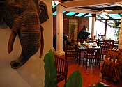 Ban Thai Beachfront Restaurant