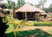 The Beach Natural Resort