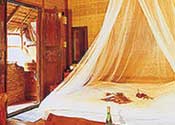 The Beach Natural Resort
