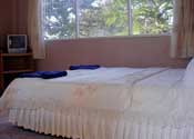 Jane Chalet Resort