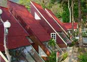 Jane Chalet Resort