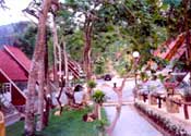 Jane Chalet Resort