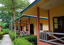 Fan Garden View