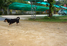 Kai Bae Hut Resort