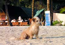 KC Grande Resort & Spa