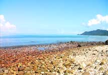 Koh Chang Privilege Resort & Restaurant