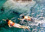 Koh Chang Tropicana Resort & Spa