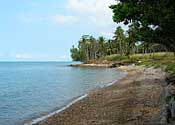 Remark Cottage Resort & Restaurant