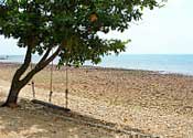 Remark Cottage Resort & Restaurant