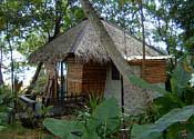 Beachfront Cottage