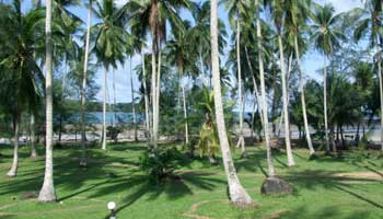 S-Beach Resort, Koh Kood (Ko Kut), Trat, Thailand