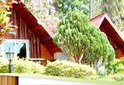 Deluxe Cottage