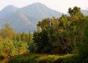 The Dewa Koh Chang